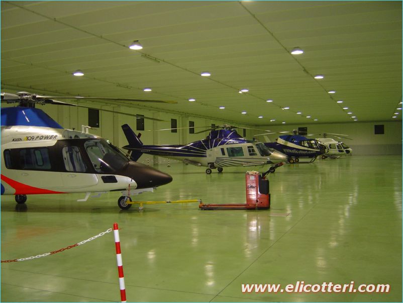 elifoto (253)